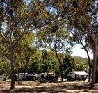 Barracrab Caravan Park - Great Ocean Road Tourism