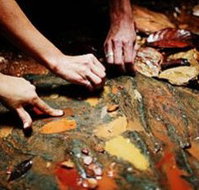 Daintree Eco Lodge And Spa - Great Ocean Road Tourism
