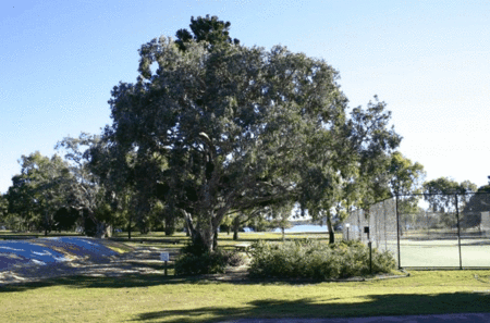 Coolwaters Holiday Village - Great Ocean Road Tourism 5