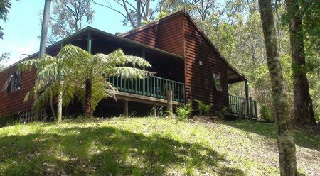 Hookes Creek Forest Retreat - Great Ocean Road Tourism 2