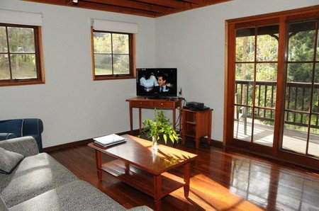 Hookes Creek Forest Retreat - Great Ocean Road Tourism 3