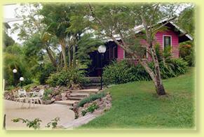 Jacaranda Cottage - Great Ocean Road Tourism 2
