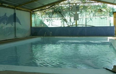 Wycliffe Well Holiday Park - Great Ocean Road Tourism 1