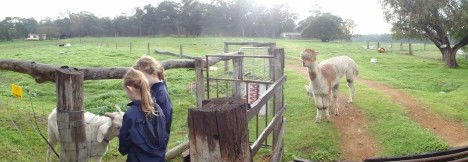 Boronia Farm Farmstay - Great Ocean Road Tourism 0