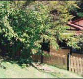 Apple Tree Cottage - Great Ocean Road Tourism
