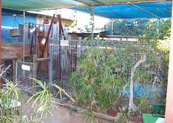 Safari Lodge Motel - Great Ocean Road Tourism 1