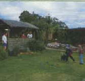 Tambo Lodge - Great Ocean Road Tourism