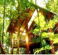 The Canopy Treehouses - Great Ocean Road Tourism