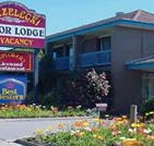 Strzelecki Motor Lodge - Great Ocean Road Tourism