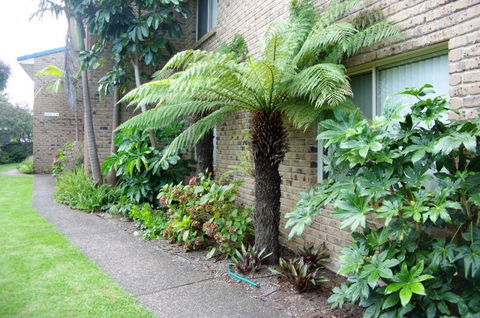 Beachfront Units Merimbula - Great Ocean Road Tourism 3