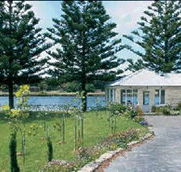 The Douglas - Great Ocean Road Tourism