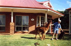 Brilea Cottages - Great Ocean Road Tourism 0
