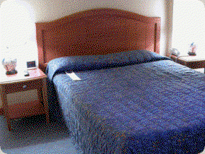 Diana Plaza Hotel - Great Ocean Road Tourism 3