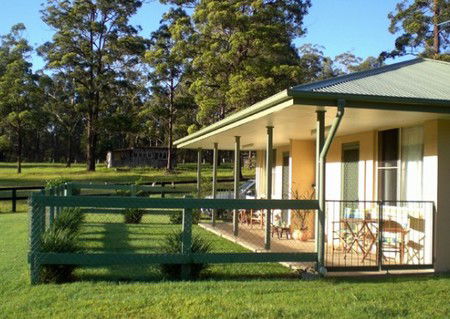 Neds Bed Horse O Tel - Great Ocean Road Tourism 1