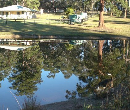 Neds Bed Horse O Tel - Great Ocean Road Tourism 4