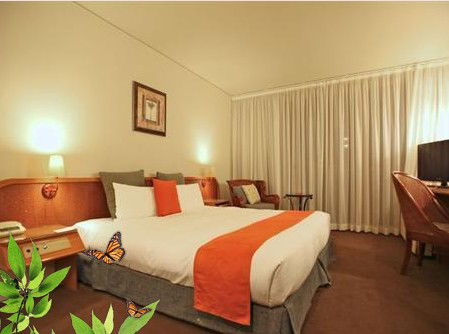 Absolute Beachfront Novotel Pacific Bay - Great Ocean Road Tourism 1