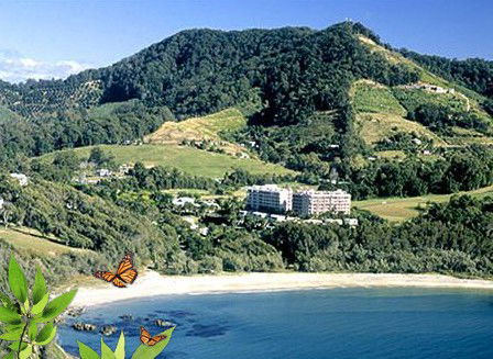 Absolute Beachfront Novotel Pacific Bay - Great Ocean Road Tourism 3