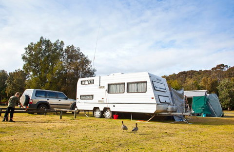 Murramarang Ecotourism Resort Eco Point - Great Ocean Road Tourism 5