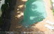 Kirra Vista Holiday Units - thumb 5