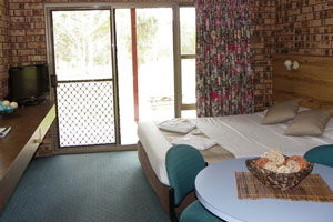 Surfside Resort Motel - Great Ocean Road Tourism 3