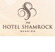 The Hotel Shamrock - Great Ocean Road Tourism