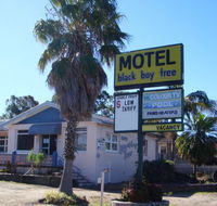Blackboy Tree Motel - Great Ocean Road Tourism