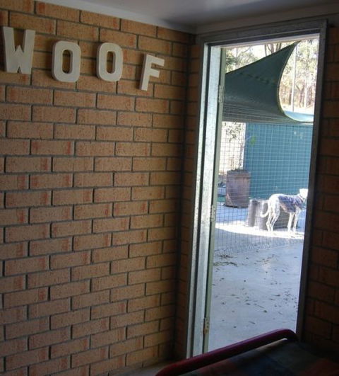 Beenleigh Pet Motel - Great Ocean Road Tourism 5