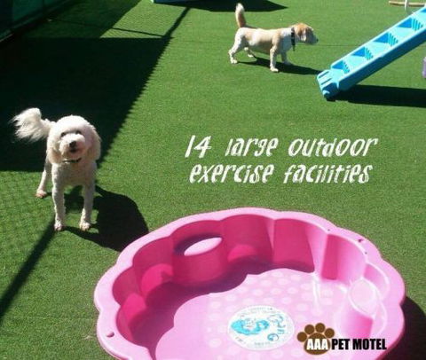 AAA Pet Motel - Great Ocean Road Tourism 2