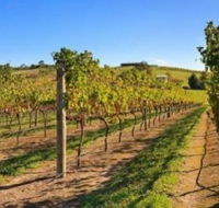 DeVine Escape - Great Ocean Road Tourism