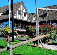 Golden Chain Village Family Motor Inn - Great Ocean Road Tourism