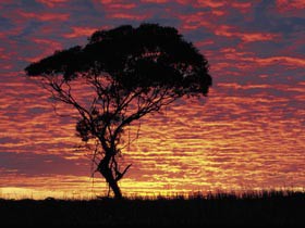 Kimba Caravan Park & Motel - Great Ocean Road Tourism 0