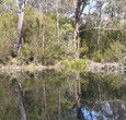 Sanctuary House Resort Motel - Healesville - Great Ocean Road Tourism 5