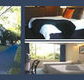 The Albany - Great Ocean Road Tourism