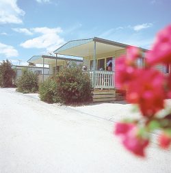 Eldorado Tourist Park - Great Ocean Road Tourism 0