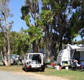 Elliston Caravan Park - Great Ocean Road Tourism