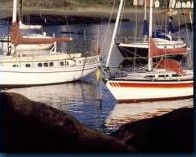 Boat Harbour Motel & Anchorage Restaurant - Great Ocean Road Tourism 1