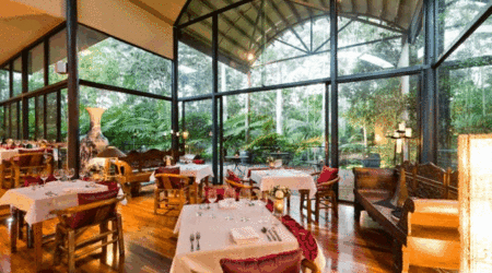 Pethers Rainforest Retreat - Great Ocean Road Tourism 1