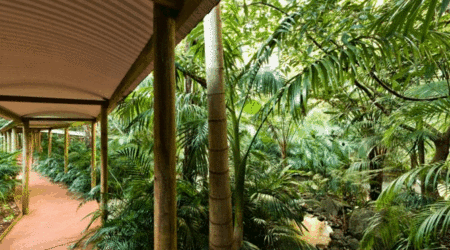 Pethers Rainforest Retreat - Great Ocean Road Tourism 4
