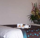 Best Western Ambassador Motor Inn - Great Ocean Road Tourism