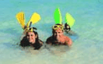 Adventure Island Whitsundays (south Molle Island) - Great Ocean Road Tourism 5