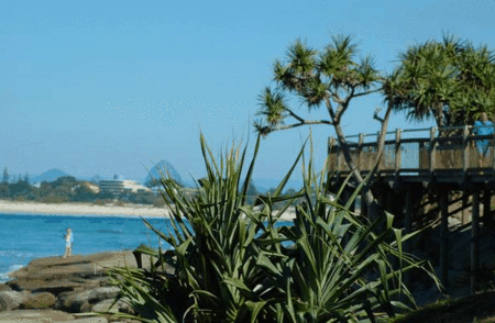 Pandanus Shores - Great Ocean Road Tourism 5