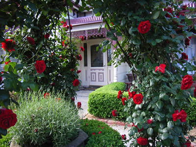 Bed And Breakfast At Stephanie's - Great Ocean Road Tourism 0