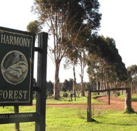 Harmony Forest - Great Ocean Road Tourism
