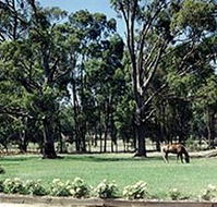 Saratoga Lodge - Great Ocean Road Tourism
