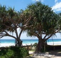 Pacific Surf Absolute Beachfront Apartments - Great Ocean Road Tourism