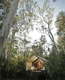 Paperbark Camp - Great Ocean Road Tourism 0