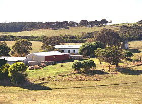 Sun Valley Eco Farm - Great Ocean Road Tourism 0