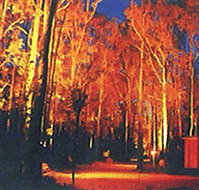 Dwellingup Chalet amp Caravan Park - Great Ocean Road Tourism