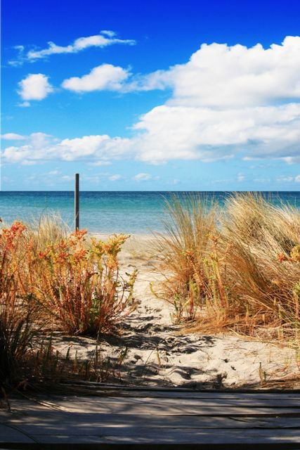 Wittows Beach-House - Great Ocean Road Tourism 0