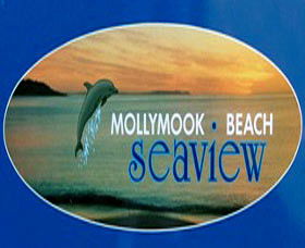 A Mollymook Beach Seaview - Great Ocean Road Tourism 0